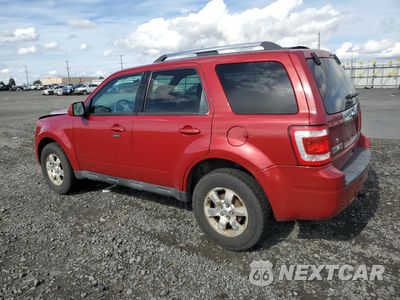 Drugie zdjęcie samochodu z przodu: 2011 FORD ESCAPE LIMITED VIN:1FMCU9EG1BKB28150 - miniatura