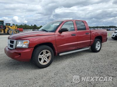 2011 DODGE DAKOTA SLT 1D7RE3GK4BS619652 - główne zdjęcie licytacji z USA - miniatura