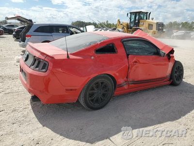 Trzecie zdjęcie samochodu z tyłu: 2013 FORD MUSTANG VIN:1ZVBP8AM5D5249534 - miniatura