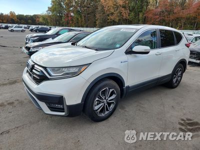 2020 HONDA CR-V EX 7FART6H58LE008956 - główne zdjęcie licytacji z USA - miniatura