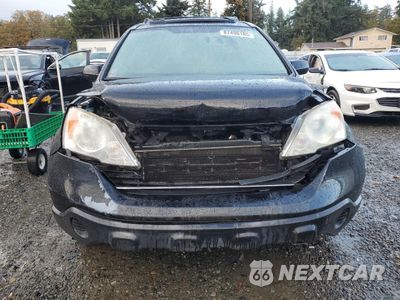 Piąte zdjęcie samochodu w środku: 2007 HONDA CR-V EXL VIN:JHLRE48727C005522 - miniatura