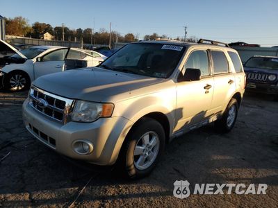 2010 FORD ESCAPE XLT 1FMCU0DG2AKA56032 - główne zdjęcie licytacji z USA - miniatura