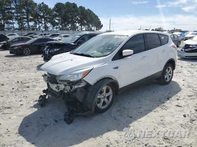 2016 FORD ESCAPE SE 1FMCU0G7XGUC05358 - główne zdjęcie licytacji z USA - miniatura