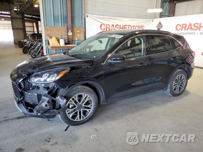 2020 FORD ESCAPE SEL 1FMCU9H99LUA07546 - główne zdjęcie licytacji z USA - miniatura