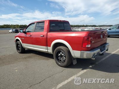 Drugie zdjęcie samochodu z przodu: 2009 DODGE RAM 1500 VIN:1D3HV13T69S794110 - miniatura