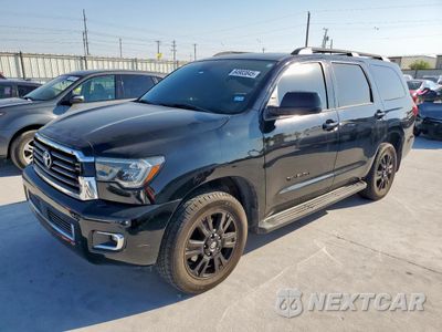 2019 TOYOTA SEQUOIA SR5 5TDZY5G14KS073996 - główne zdjęcie licytacji z USA - miniatura