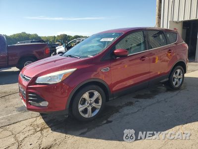 2014 FORD ESCAPE SE 1FMCU0GX4EUB61080 - główne zdjęcie licytacji z USA - miniatura