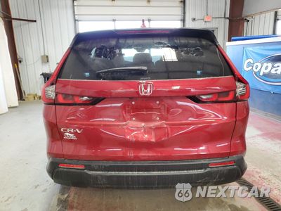 Zdjęcie 6 z 14 samochodu: 2024 HONDA CR-V EX VIN:2HKRS4H41RH438333 - miniatura