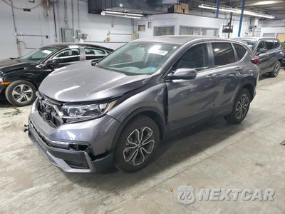 2020 HONDA CR-V EXL 5J6RW2H80LL041656 - główne zdjęcie licytacji z USA - miniatura