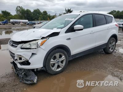 2016 FORD ESCAPE SE 1FMCU0G96GUA31628 - główne zdjęcie licytacji z USA - miniatura