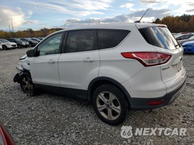 Drugie zdjęcie samochodu z przodu: 2016 FORD ESCAPE SE VIN:1FMCU9GX8GUA34484 - miniatura
