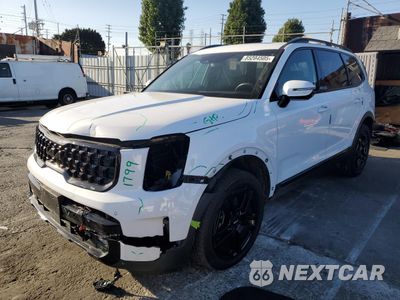 2024 KIA TELLURIDE SX 5XYP5DGC9RG479520 - główne zdjęcie licytacji z USA - miniatura