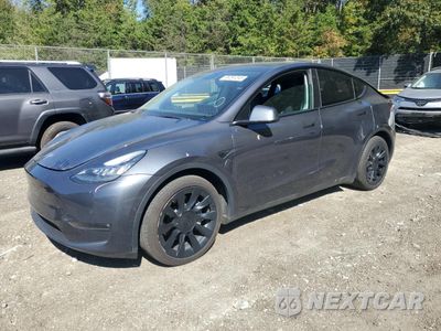 2021 TESLA MODEL Y 5YJYGAEE9MF296278 - główne zdjęcie licytacji z USA - miniatura