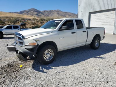 2009 DODGE RAM 1500 1D3HV18P69S728698 - główne zdjęcie licytacji z USA - miniatura