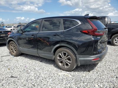 Drugie zdjęcie samochodu z przodu: 2020 HONDA CR-V EX VIN:7FARW1H54LE007913 - miniatura