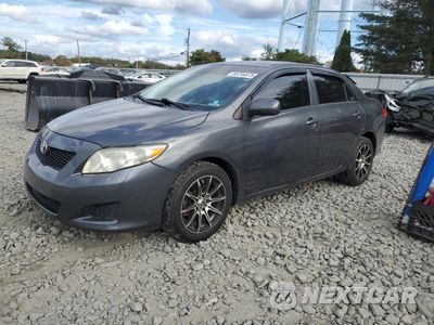 2010 TOYOTA COROLLA BASE 2T1BU4EEXAC304940 - główne zdjęcie licytacji z USA - miniatura