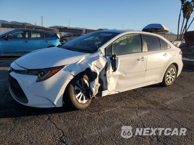 2021 TOYOTA COROLLA LE JTDEAMDEXMJ008347 - główne zdjęcie licytacji z USA - miniatura