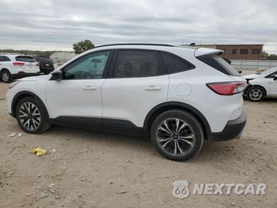 Drugie zdjęcie samochodu z przodu: 2020 FORD ESCAPE SE SPORT VIN:1FMCU0BZ0LUB31323 - miniatura