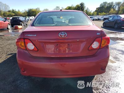 Zdjęcie 6 z 13 samochodu: 2010 TOYOTA COROLLA BASE VIN:2T1BU4EE9AC514932 - miniatura