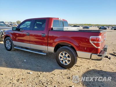 Drugie zdjęcie samochodu z przodu: 2014 FORD F150 SUPERCREW VIN:1FTFW1CF1EFB69088 - miniatura