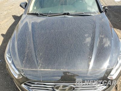Zdjęcie 11 z 14 samochodu: 2019 HYUNDAI SONATA SE VIN:5NPE24AF7KH753878 - miniatura