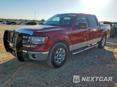 2014 FORD F150 SUPERCREW 1FTFW1CF1EFB69088 - główne zdjęcie licytacji z USA - miniatura