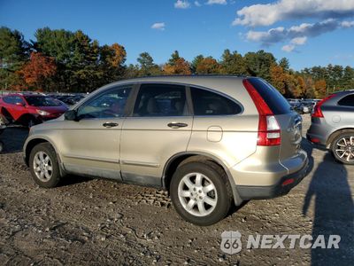 Drugie zdjęcie samochodu z przodu: 2009 HONDA CR-V EX VIN:5J6RE48519L005259 - miniatura