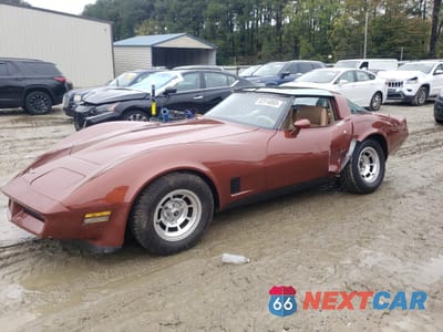 1981 CHEVROLET CORVETTE 1G1AY8765B5105539 - główne zdjęcie licytacji z USA - miniatura