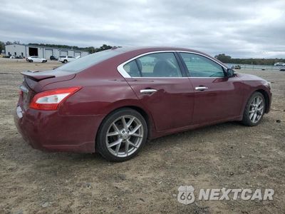 Trzecie zdjęcie samochodu z tyłu: 2010 NISS MAXIMA S VIN:1N4AA5APXAC837287 - miniatura