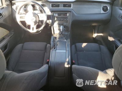 Zdjęcie 8 z 14 samochodu: 2013 FORD MUSTANG VIN:1ZVBP8EM2D5229705 - miniatura