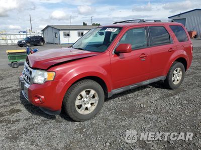 2011 FORD ESCAPE LIMITED 1FMCU9EG1BKB28150 - główne zdjęcie licytacji z USA - miniatura