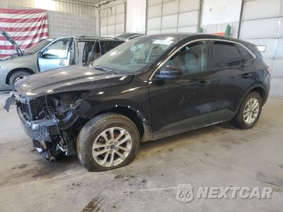 2020 FORD ESCAPE SE 1FMCU9G62LUB67775 - główne zdjęcie licytacji z USA - miniatura