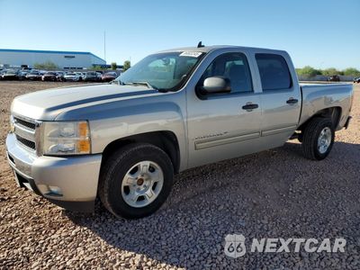 2009 CHEVROLET SILVERADO C1500 3GCEC13399G210825 - główne zdjęcie licytacji z USA - miniatura