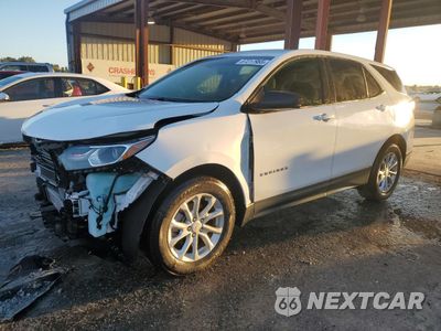 2019 CHEVROLET EQUINOX LS 2GNAXHEV9K6216479 - główne zdjęcie licytacji z USA - miniatura
