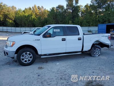 2013 FORD F150 SUPERCREW 1FTFW1EF3DFA58621 - główne zdjęcie licytacji z USA - miniatura