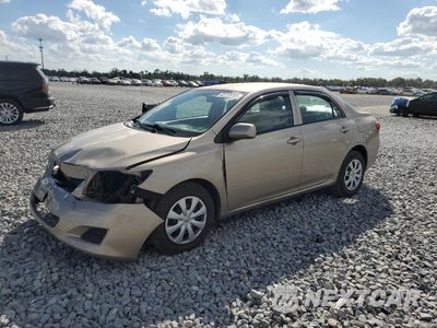 2010 TOYOTA COROLLA BASE 2T1BU4EE9AC512534 - główne zdjęcie licytacji z USA - miniatura