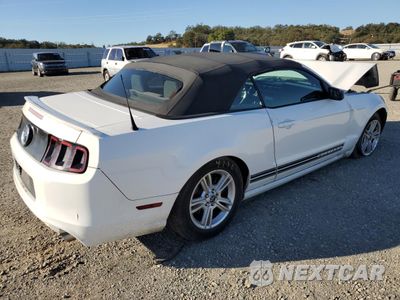 Trzecie zdjęcie samochodu z tyłu: 2013 FORD MUSTANG VIN:1ZVBP8EM2D5229705 - miniatura