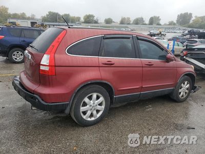 Trzecie zdjęcie samochodu z tyłu: 2008 HONDA CR-V EXL VIN:JHLRE48798C036185 - miniatura