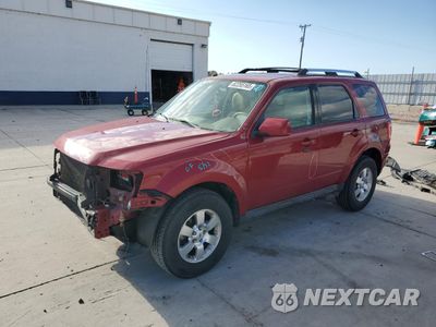 2011 FORD ESCAPE LIMITED 1FMCU9EG9BKC19005 - główne zdjęcie licytacji z USA - miniatura