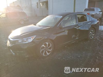 2016 HONDA ACCORD EXL 1HGCR3F88GA007348 - główne zdjęcie licytacji z USA - miniatura