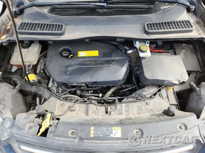 Zdjęcie 11 z 12 samochodu: 2016 FORD ESCAPE SE VIN:1FMCU0GX4GUC25606 - miniatura