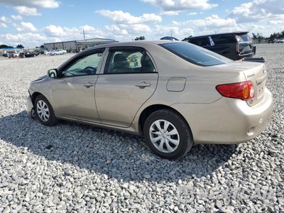 Drugie zdjęcie samochodu z przodu: 2010 TOYOTA COROLLA BASE VIN:2T1BU4EE9AC512534 - miniatura