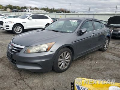 2011 HONDA ACCORD EX 1HGCP2F79BA101139 - główne zdjęcie licytacji z USA - miniatura