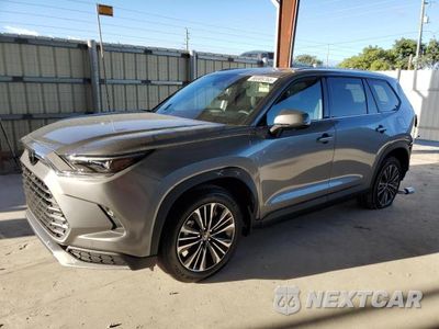 2025 TOYOTA GRAND HIGHLANDER LIMITED 5TDADAB58SS025588 - główne zdjęcie licytacji z USA - miniatura