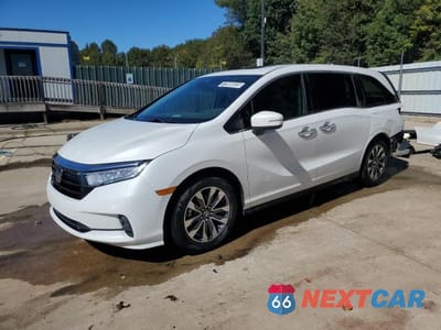 2021 HONDA ODYSSEY EXL 5FNRL6H74MB017068 - główne zdjęcie licytacji z USA - miniatura