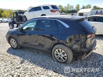 Drugie zdjęcie samochodu z przodu: 2023 FORD ESCAPE ACTIVE VIN:1FMCU0GN1PUB39815 - miniatura