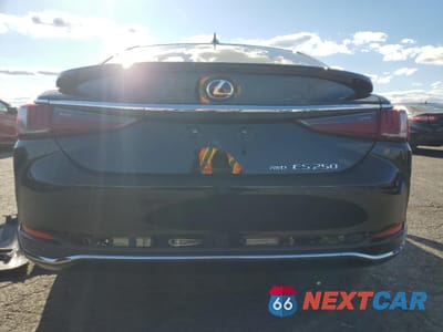 Zdjęcie 6 z 14 samochodu: 2021 LEXUS ES 250 BASE VIN:58AD11D14MU008161 - miniatura