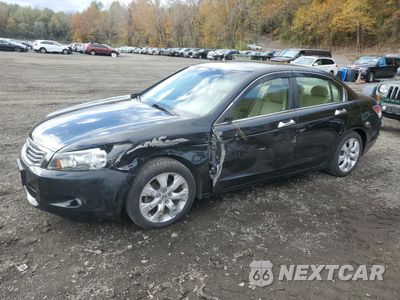2009 HONDA ACCORD EXL 5KBCP36899B502156 - główne zdjęcie licytacji z USA - miniatura