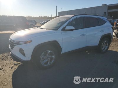 2024 HYUNDAI TUCSON SEL 5NMJB3DE6RH422003 - główne zdjęcie licytacji z USA - miniatura