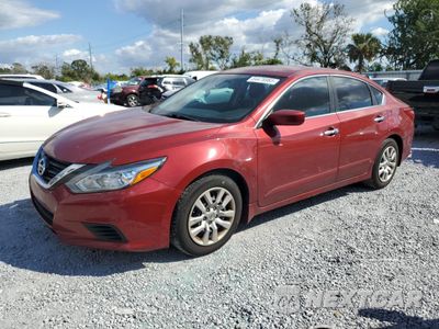 2017 NISSAN ALTIMA 2.5 1N4AL3AP8HN308739 - główne zdjęcie licytacji z USA - miniatura